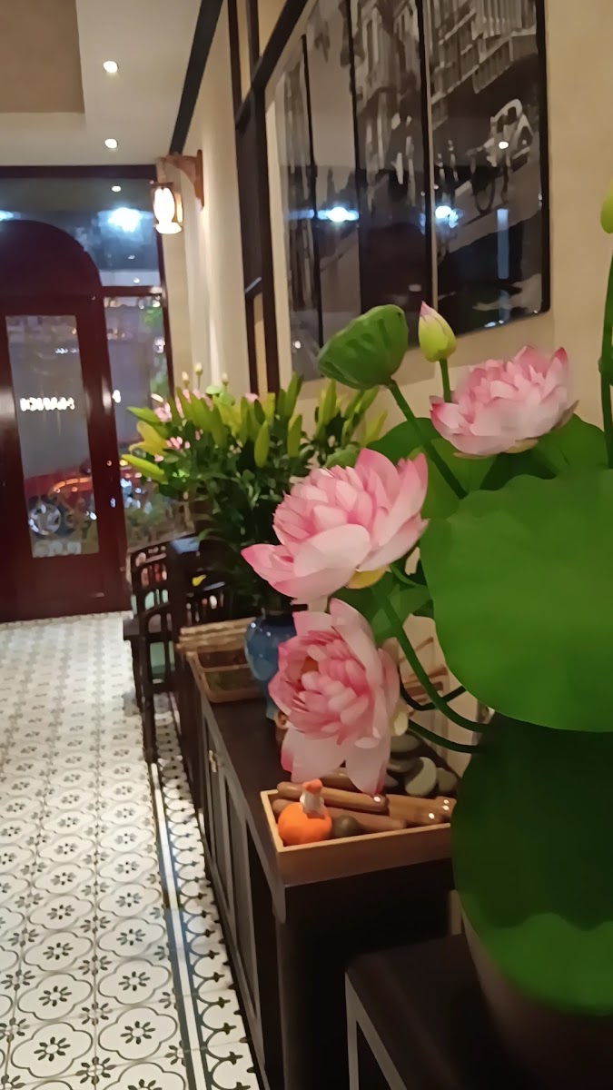 Hanoi Spa - Massage photo 6 in Thao Dien