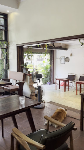 Chillhood - Rooftop Cafe & Bistro photo 7 in Thao Dien