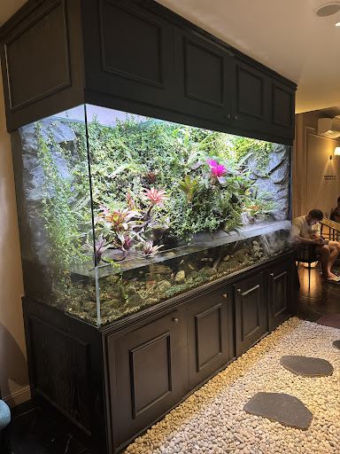 Serene Impression Spa photo 5 in Thao Dien