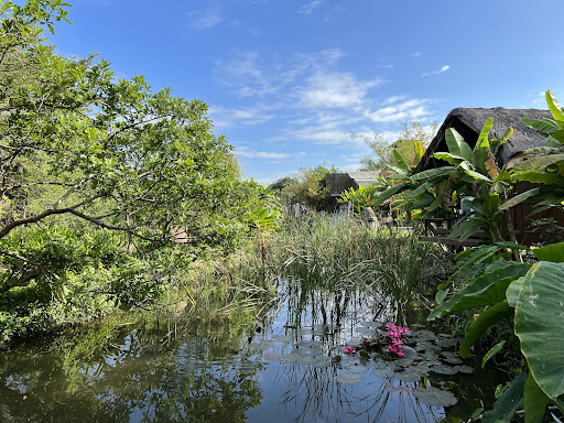 Yoga Pod photo 3 in Thao Dien