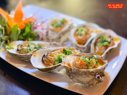 Sen Đại Việt Restaurant - Seafood - Phở photo 4 in Thao Dien