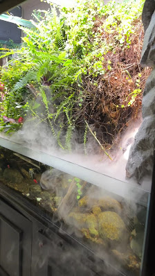 Serene Impression Spa photo 4 in Thao Dien