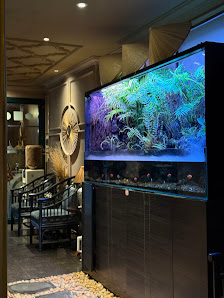 Serene Spa Hanoi photo 3 in Thao Dien