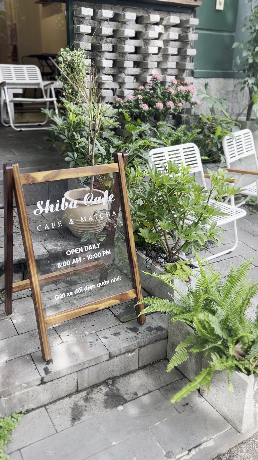 The image shows an outdoor seating area of a cafe named 'Shiba Cafe'. There is greenery and plants around the entrance, with white chairs placed outsi