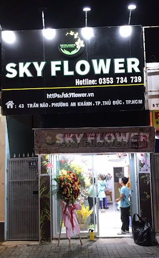 SKYFLOWER photo 3 in Thao Dien