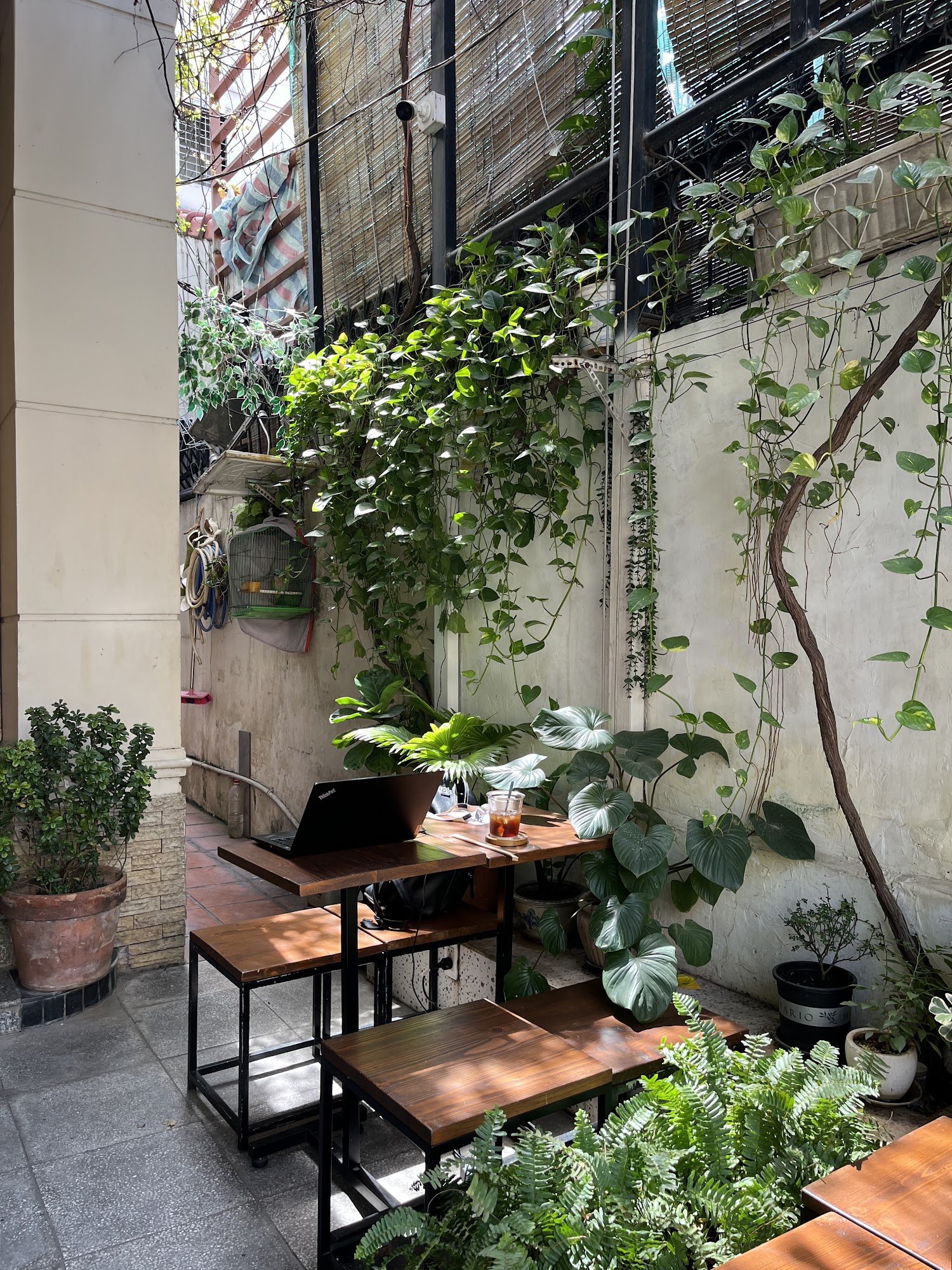 This image depicts an outdoor seating area of a cafe or restaurant in Thao Dien, Saigon. The space is adorned with various potted plants and climbing 