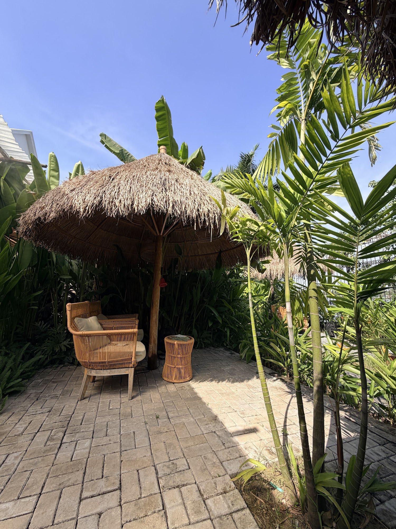 This image depicts an outdoor seating area in a tropical garden setting at Thao Dien, Saigon.