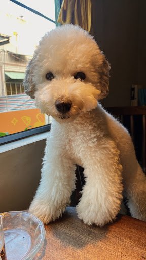 The Brownie by Tia photo 8 in Thao Dien