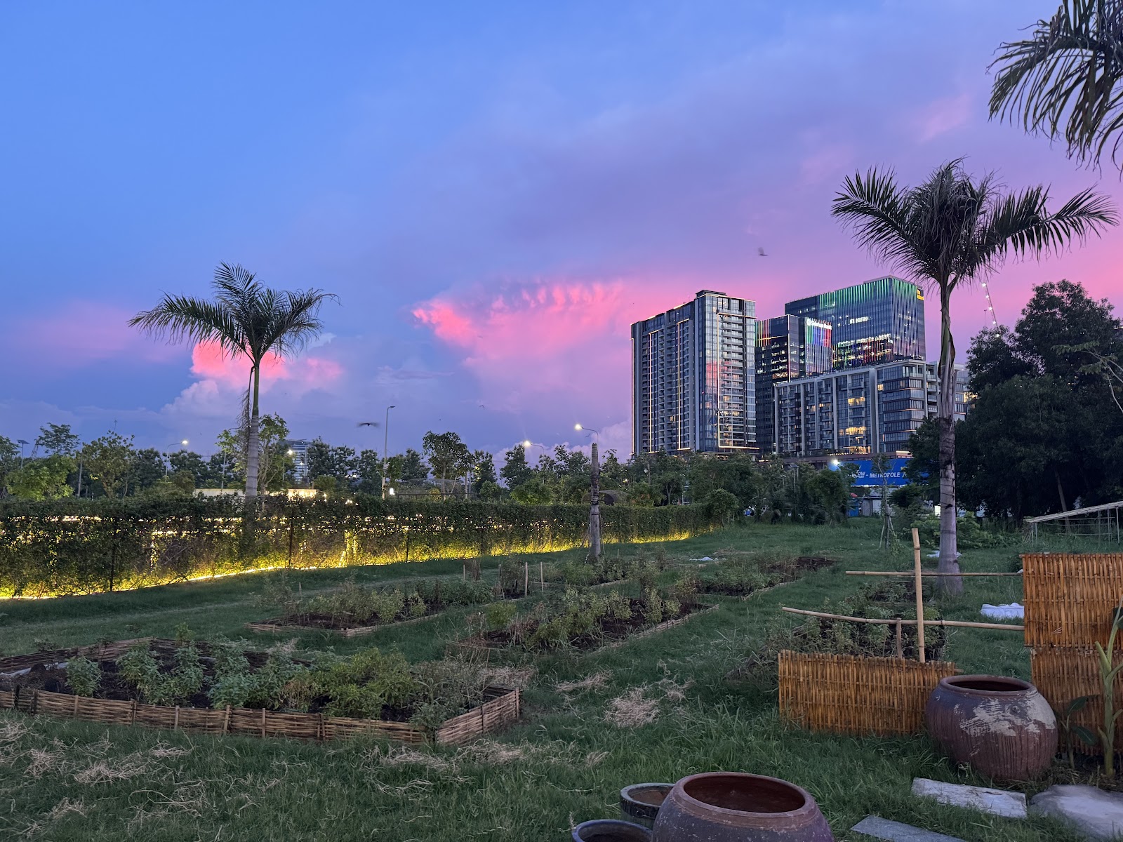 The Commons Thu Thiem - Cafes & Coffee in Thao Dien