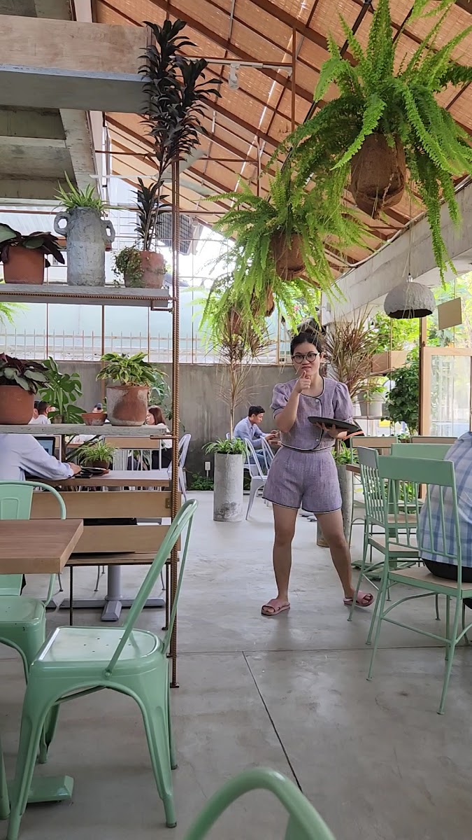 The LAMP Café Tea & Nést - Cafes & Coffee in Thao Dien