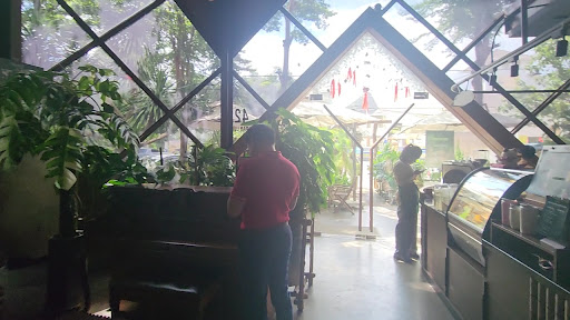 Thong Thả Cà Phê photo 8 in Thao Dien