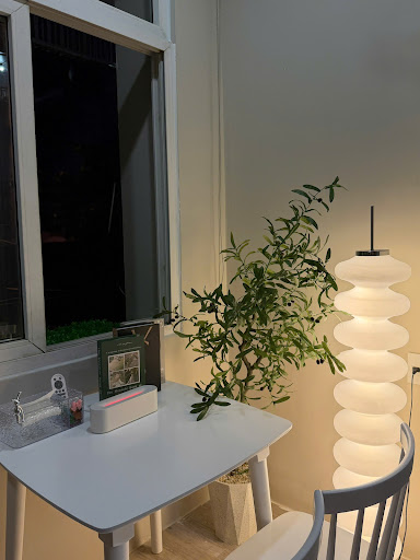 TIARA HOMESTAY photo 3 in Thao Dien