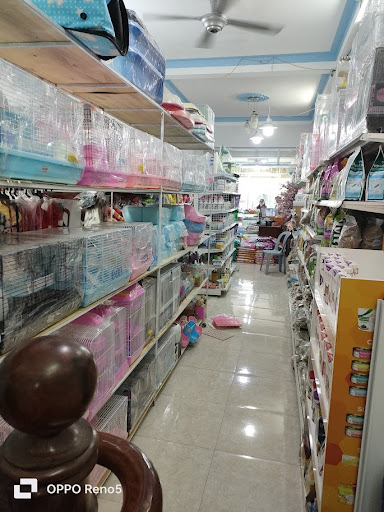 TL PET SHOP - Cửa hàng Hamster Chó Mèo Bình Thạnh photo 3 in Thao Dien