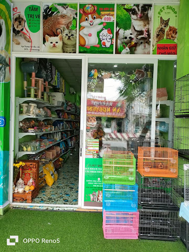 TL PET SHOP - Cửa hàng Hamster Chó Mèo Bình Thạnh - Pet Store in Thao Dien