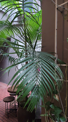 Tranquil Books & Coffee - 5 Nguyễn Quang Bích photo 7 in Thao Dien