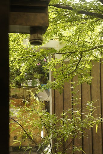 Trốn Cà Phê - Thảo Điền photo 3 in Thao Dien