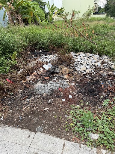 Viva Yoga & Fitness Quận 2 photo 6 in Thao Dien