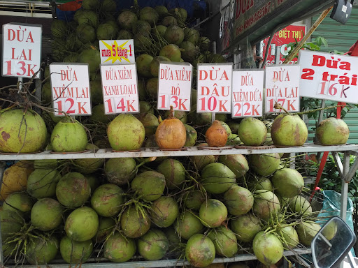 Vựa Dừa Xiêm Ben Tre(bentre coconut market) photo 1 in Thao Dien