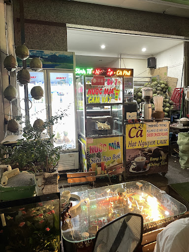 Vựa Dừa Xiêm Ben Tre(bentre coconut market) photo 9 in Thao Dien