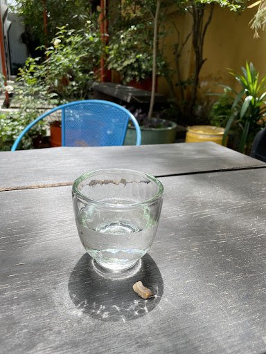 Vườn Thảo Điền photo 14 in Thao Dien
