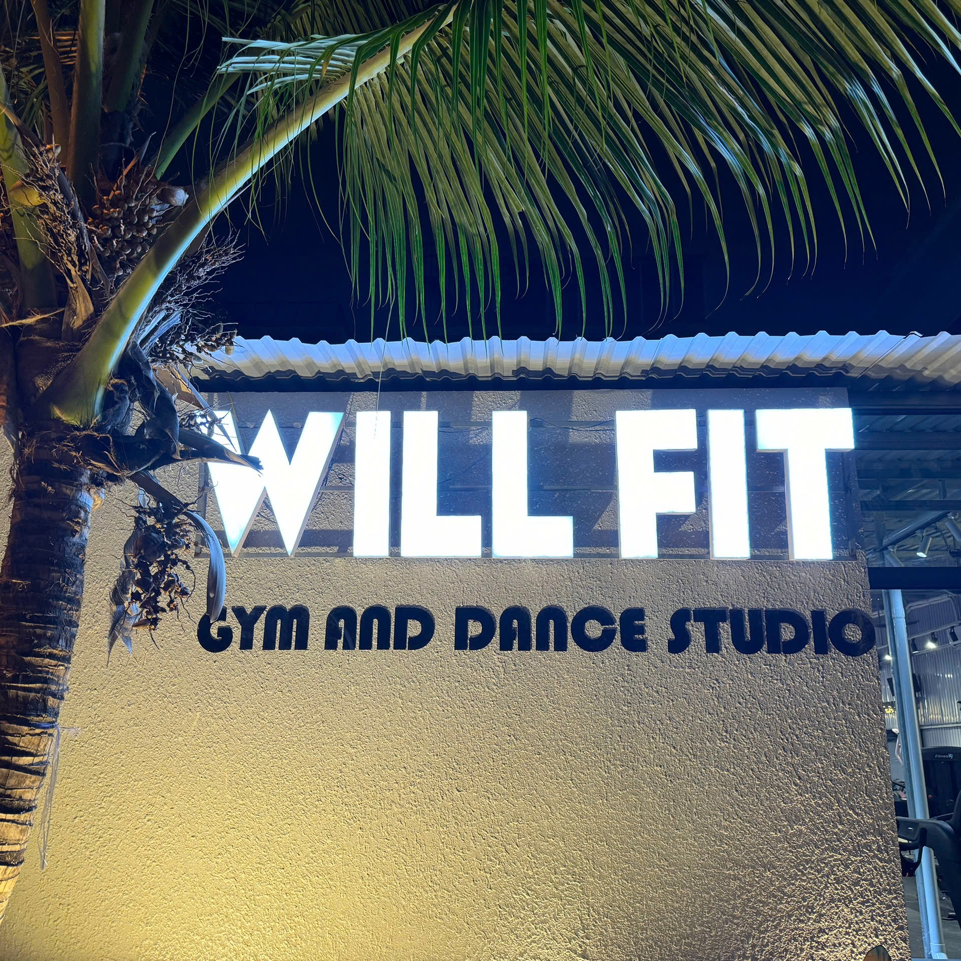 WILL FIT - Gym and Studio in Thao Dien