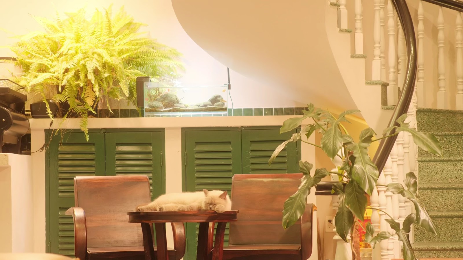 XLIII Specialty Coffee photo 7 in Thao Dien