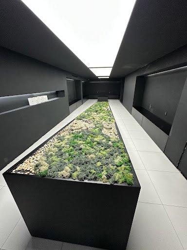 A modern interior space featuring a long rectangular planter with various green plants and pebbles, positioned centrally in a narrow corridor. The wal