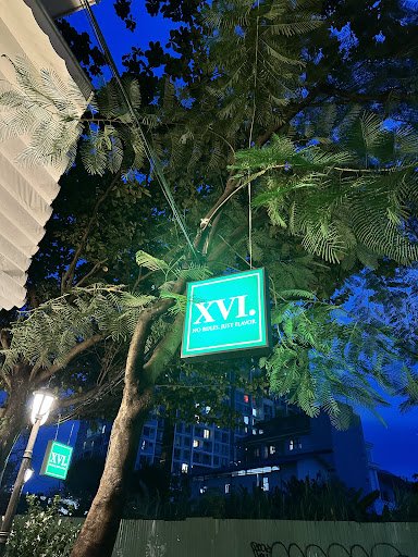 XVI. photo 5 in Thao Dien