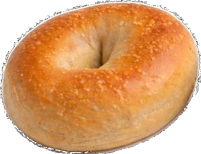 Plain Bagel