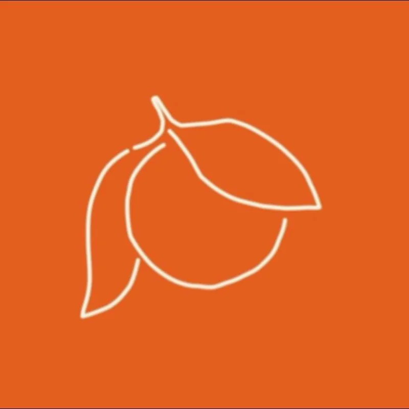 The Orange Ball logo